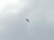 Abacus Airshow Augsburg 2008 356